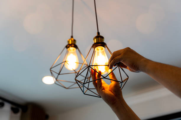 Best Commercial Electrician Services  in Fox Lake, IL